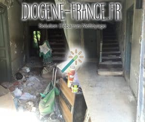 Nettoyage Diogène avant/après