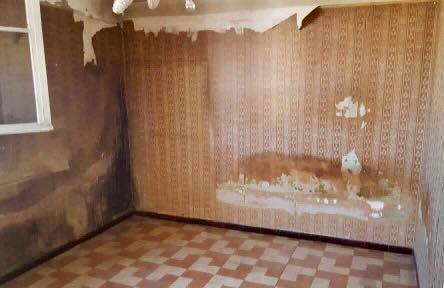 désinfection appartement