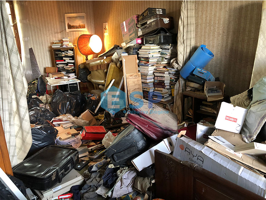 Syndrome de Diogène Débarras Désinfection entassement de livre salon