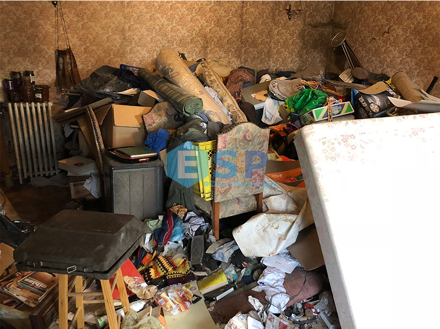 Syndrome de Diogène Débarras Désinfection