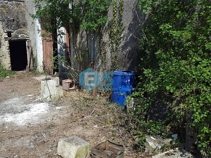 Syndrome de Diogène Débarras Désinfection