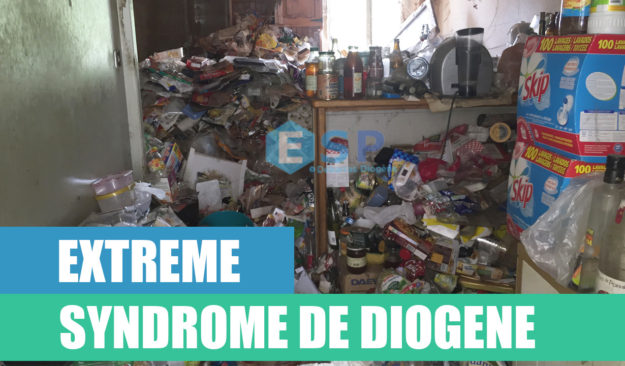 syndrome de diogène nettoyage syndrome de diogène nettoyage