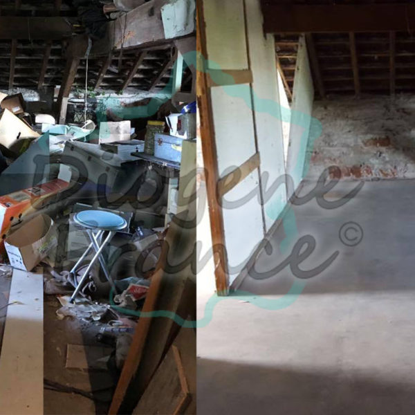 Débarras de grenier par l'équipe de Diogène France à Marseille