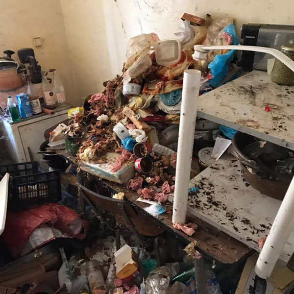 maison insalubrité extrême, cas de syndrome de Diogène
