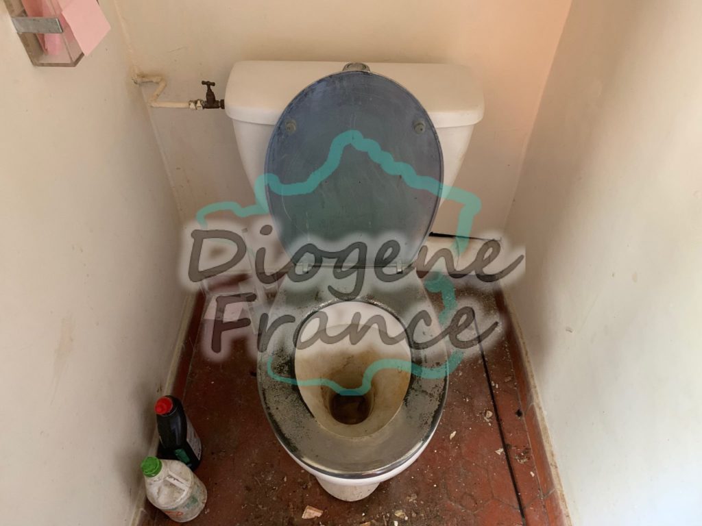 avant intervention nettoyage de toilettes insalubres