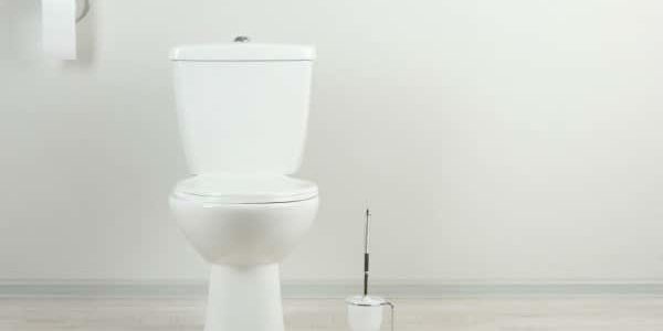 nettoyer ses toilettes nettoyer ses toilettes